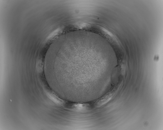 X0000090450558200708102052