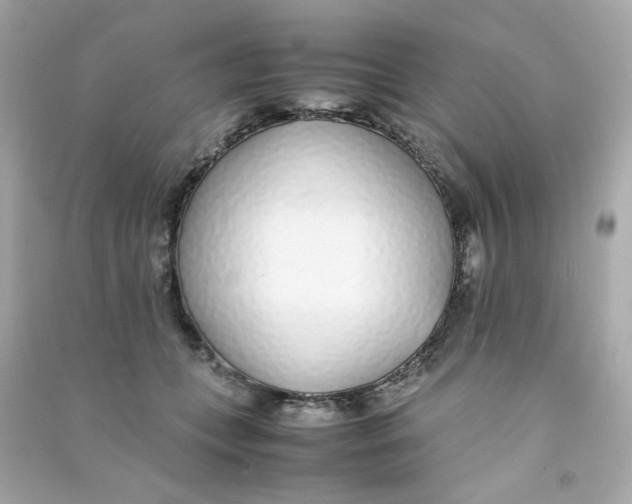 X0000090450559200708102052