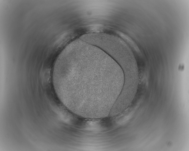 X0000090450560200708102052