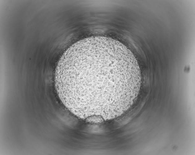 X0000090450561200708102052