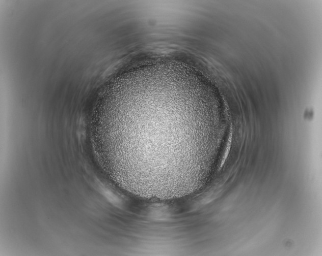 X0000090450562200708102052