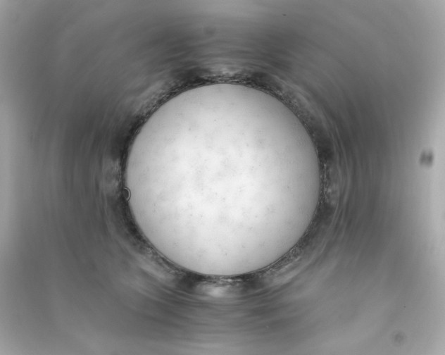 X0000090450563200708102052