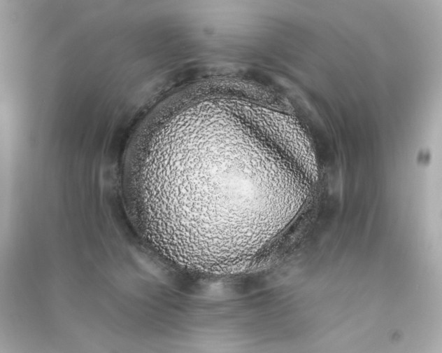 X0000090450564200708102052