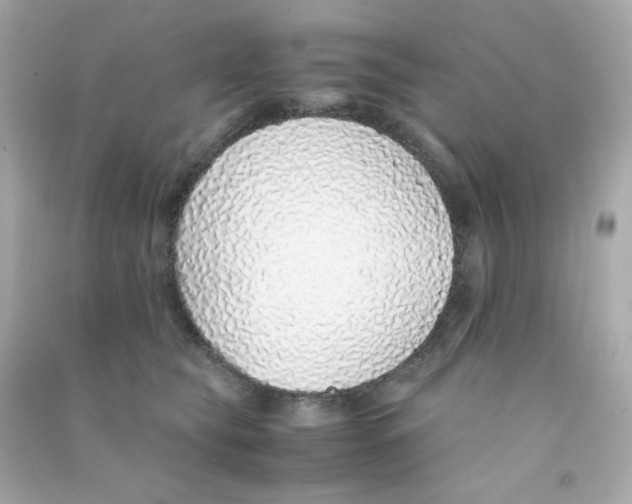 X0000090450565200708102052