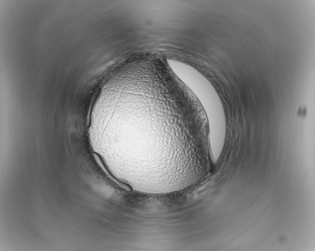 X0000090450566200708102052