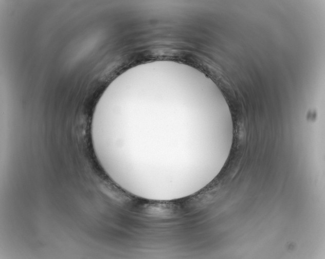 X0000090450567200708102052