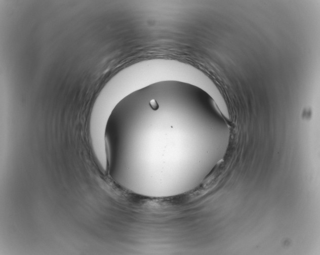 X0000090450568200708102052