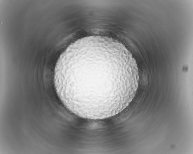 X0000090450569200708102052