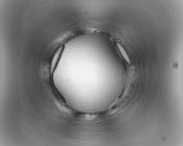 X0000090450570200708102052