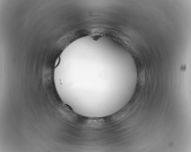 X0000090450571200708102052