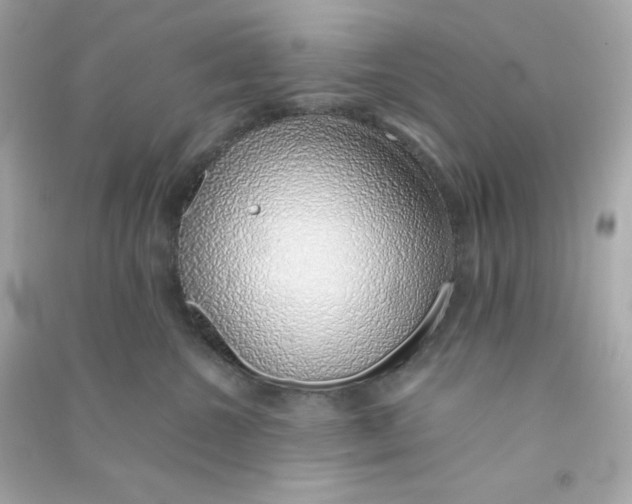 X0000090450572200708102052