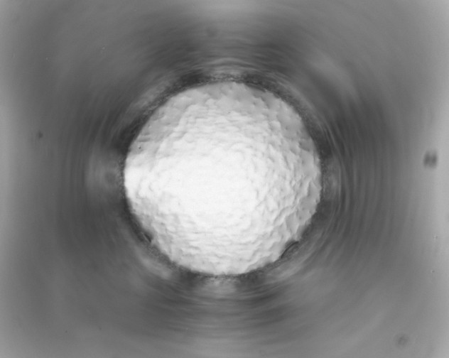 X0000090450573200708102052