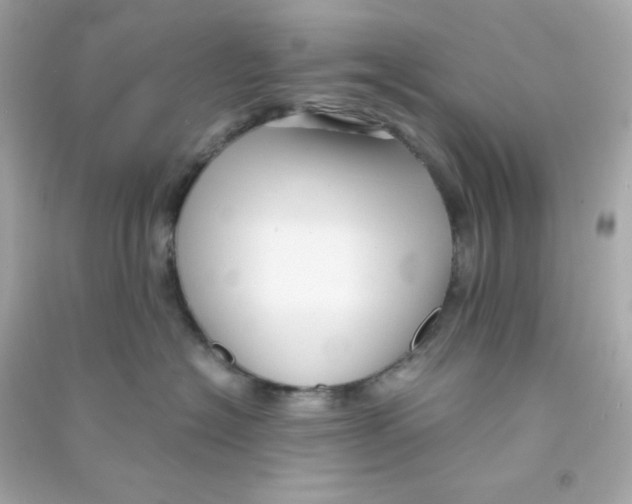 X0000090450574200708102052