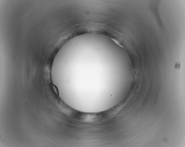 X0000090450575200708102052