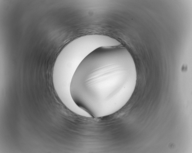 X0000090450576200708102052