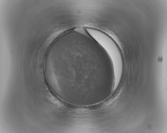 X0000090450577200708102051