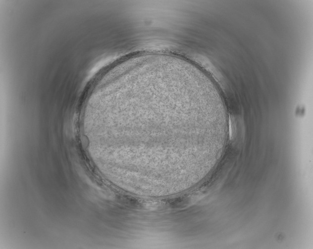 X0000090450579200708102051