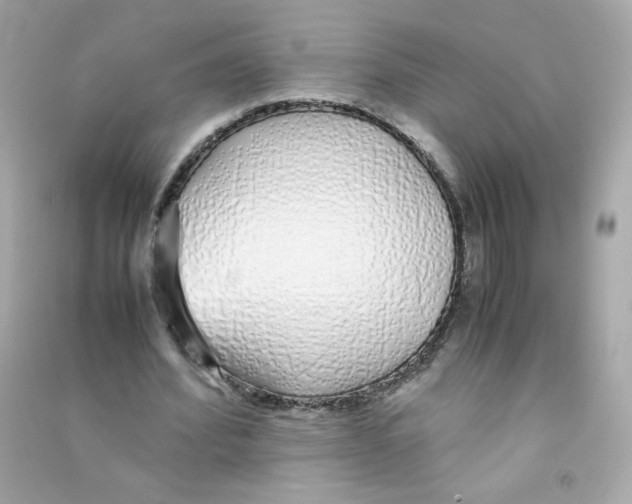 X0000090450580200708102051