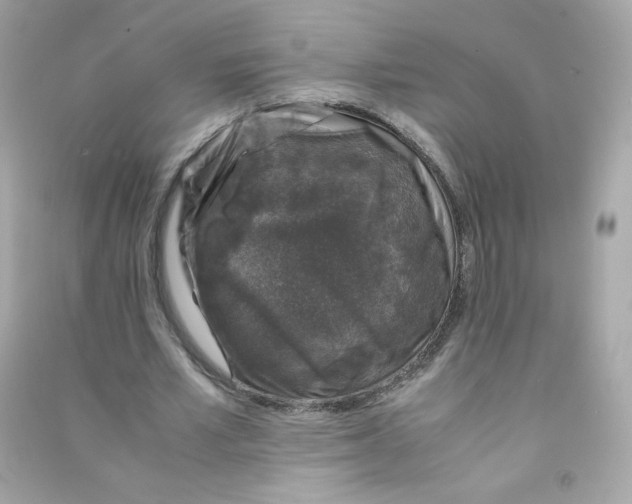 X0000090450581200708102051