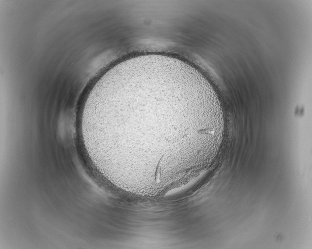 X0000090450582200708102051