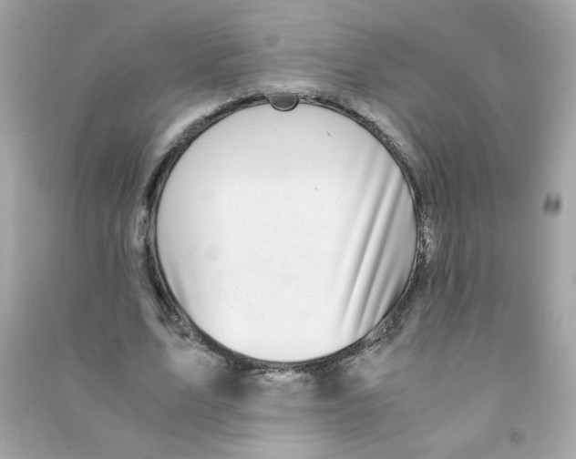 X0000090450583200708102051