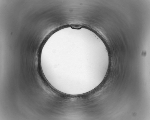 X0000090450584200708102051