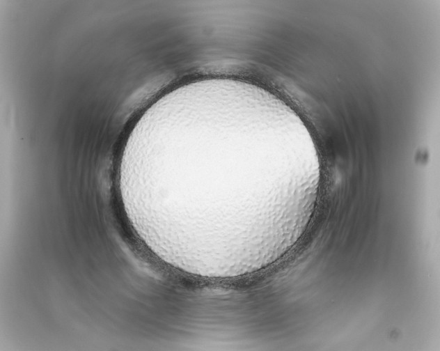 X0000090450586200708102051