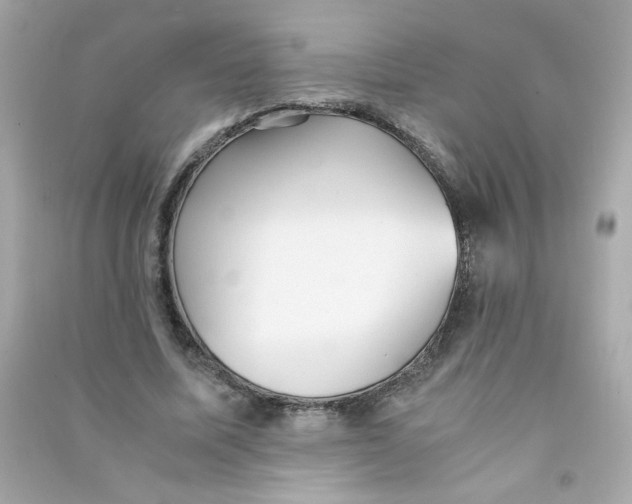 X0000090450587200708102051