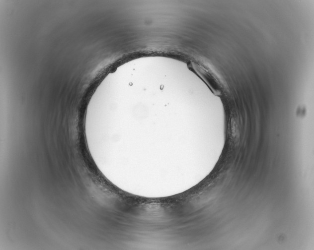 X0000090450588200708102051