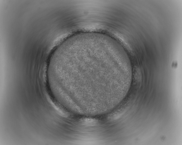 X0000090450590200708102051