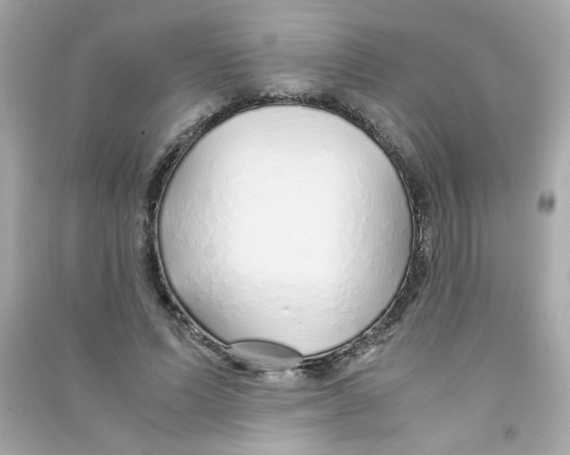 X0000090450591200708102051