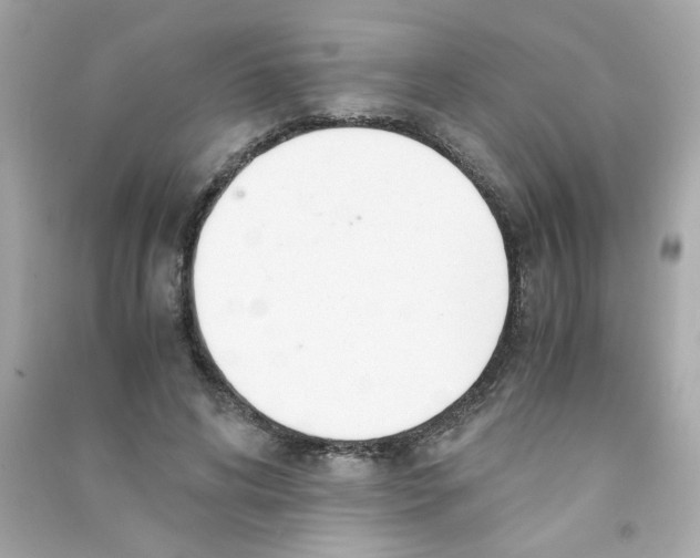 X0000090450592200708102051