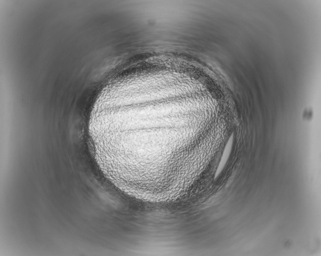 X0000090450593200708102051