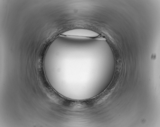 X0000090450597200708102051