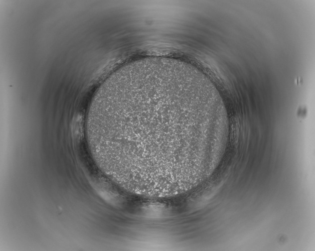 X0000090450598200708102051