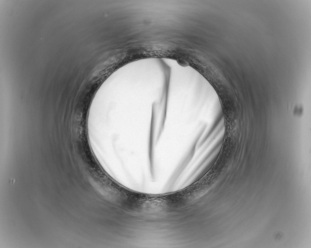 X0000090450599200708102051