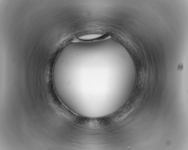 X0000090450600200708102051