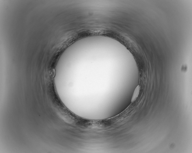 X0000090450601200708102051