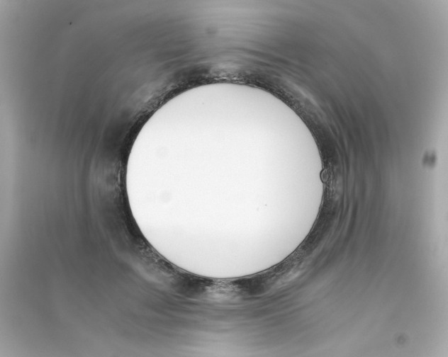 X0000090450603200708102051