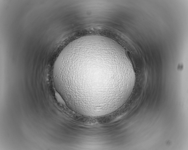 X0000090450604200708102051