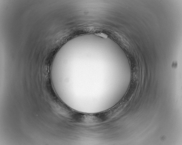 X0000090450605200708102051