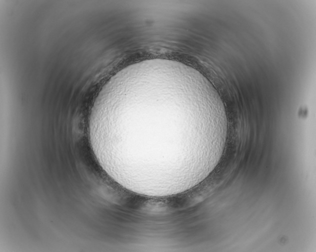 X0000090450606200708102051