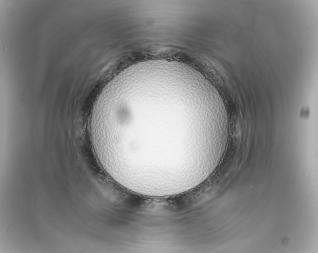 X0000090450607200708102051