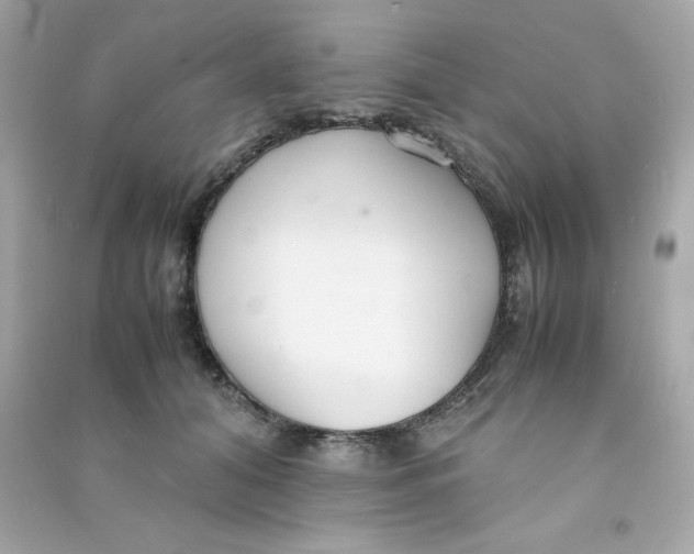 X0000090450608200708102051