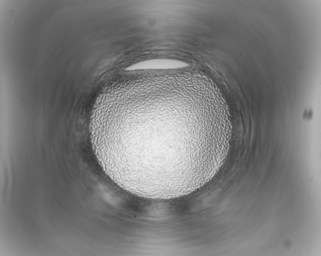 X0000090450609200708102051