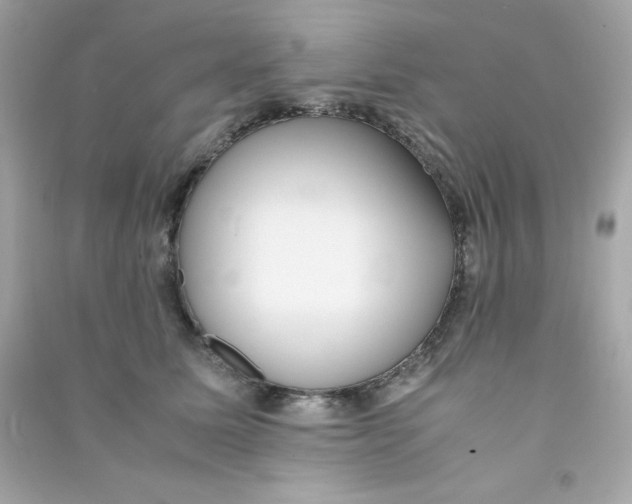 X0000090450611200708102051