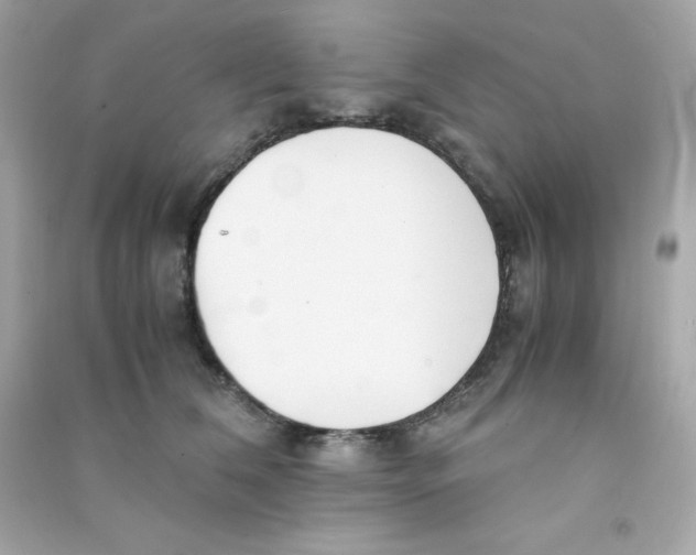 X0000090450612200708102051