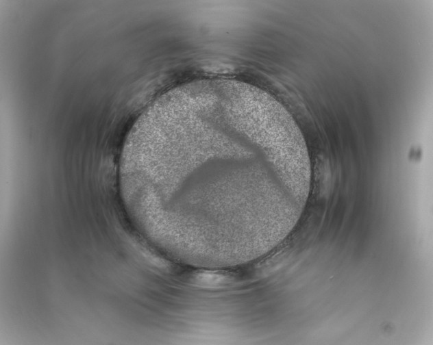 X0000090450614200708102051