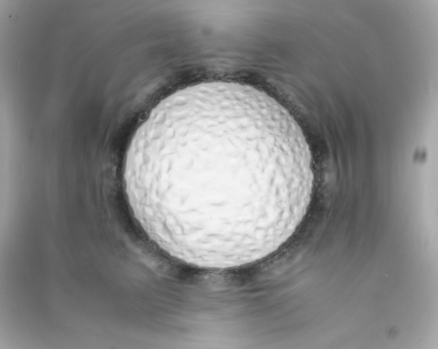 X0000090450615200708102051