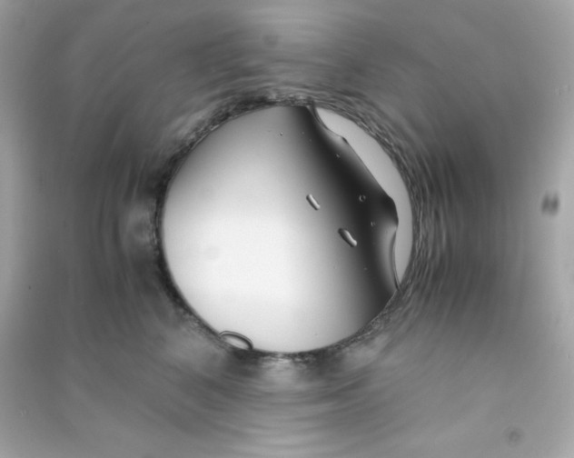 X0000090450616200708102051